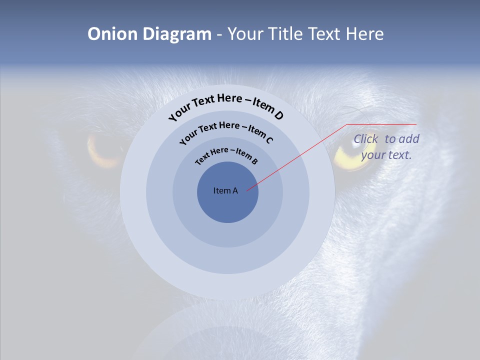 Eyes Nature Snout PowerPoint Template