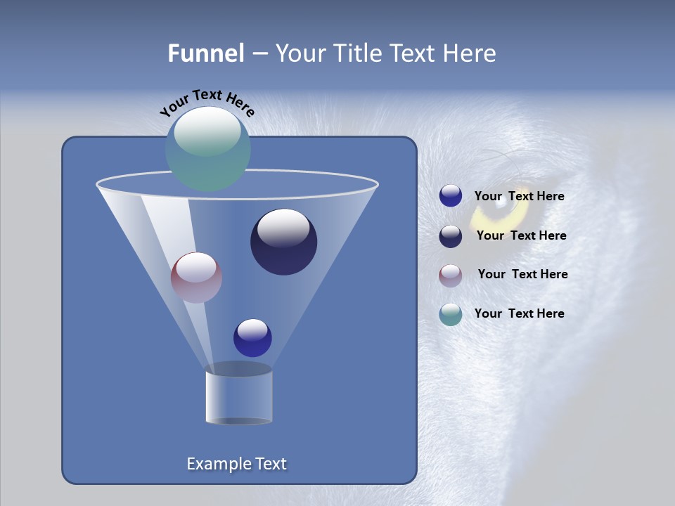 Eyes Nature Snout PowerPoint Template