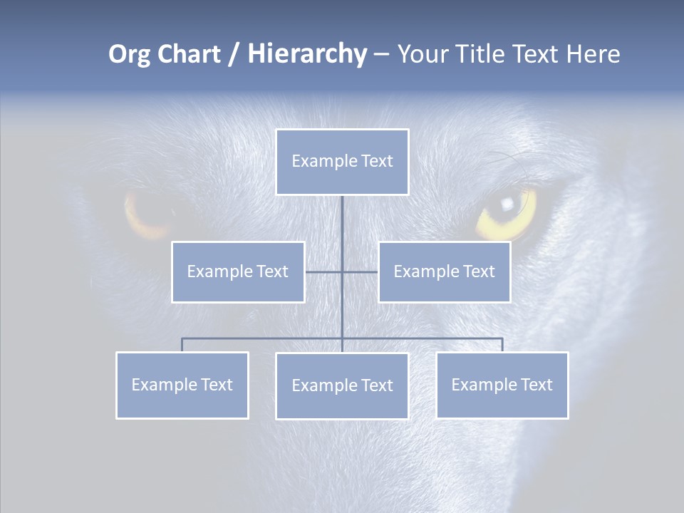 Eyes Nature Snout PowerPoint Template