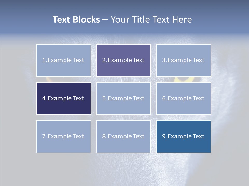 Eyes Nature Snout PowerPoint Template