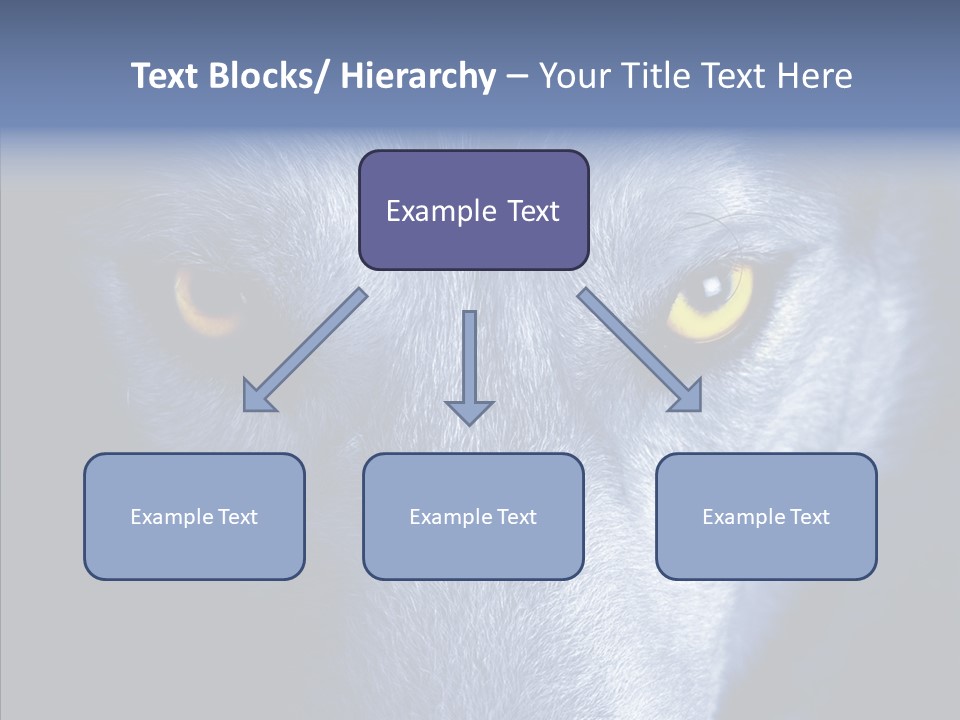 Eyes Nature Snout PowerPoint Template