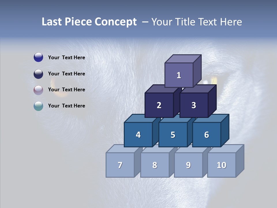Eyes Nature Snout PowerPoint Template