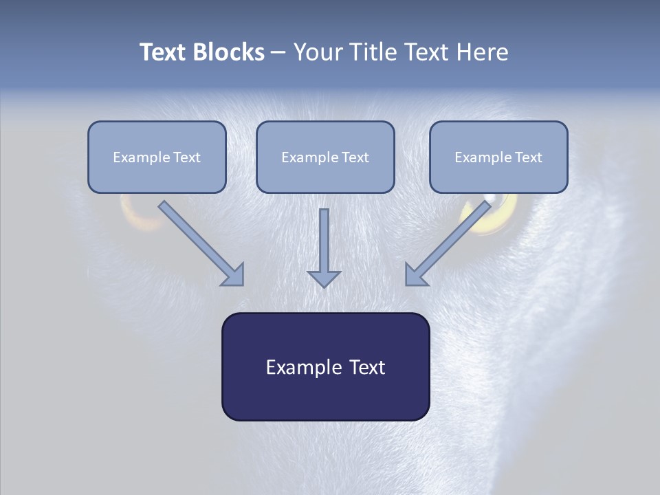 Eyes Nature Snout PowerPoint Template