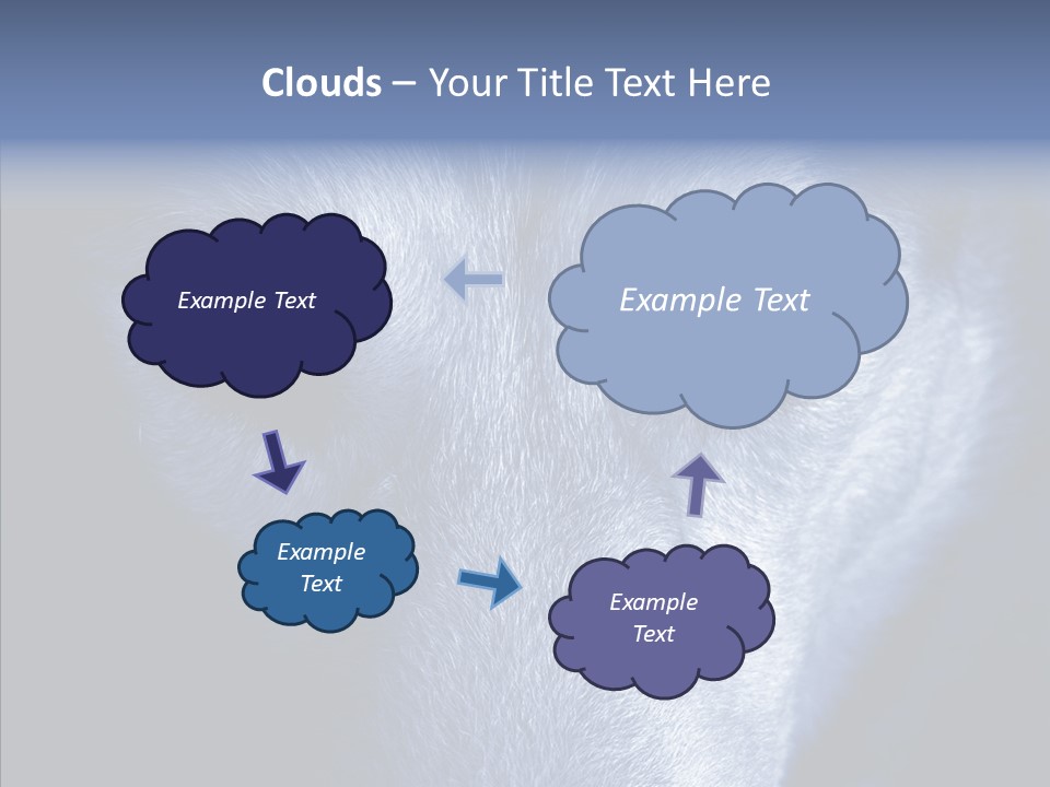 Eyes Nature Snout PowerPoint Template