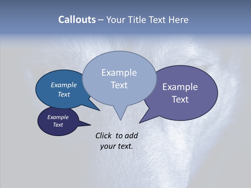 Eyes Nature Snout PowerPoint Template
