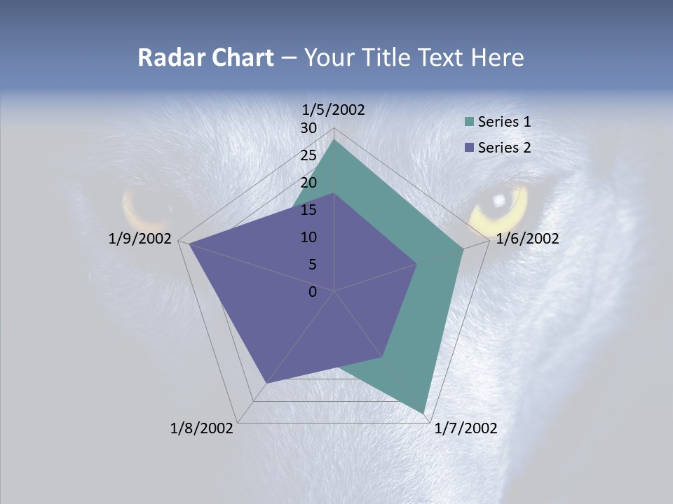 Eyes Nature Snout PowerPoint Template