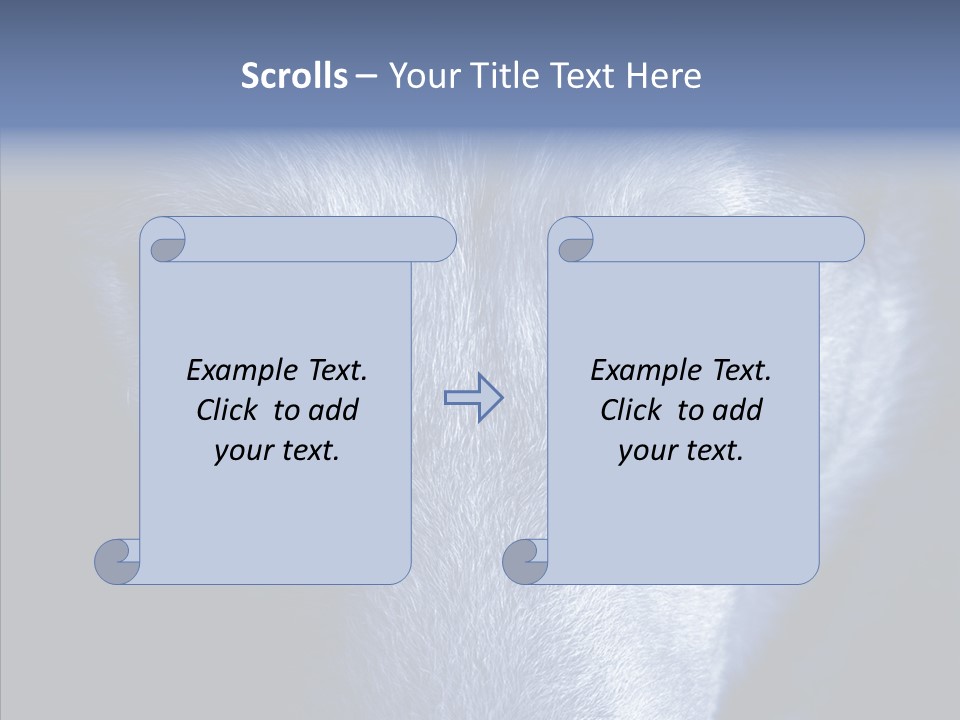 Eyes Nature Snout PowerPoint Template