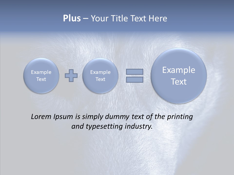 Eyes Nature Snout PowerPoint Template