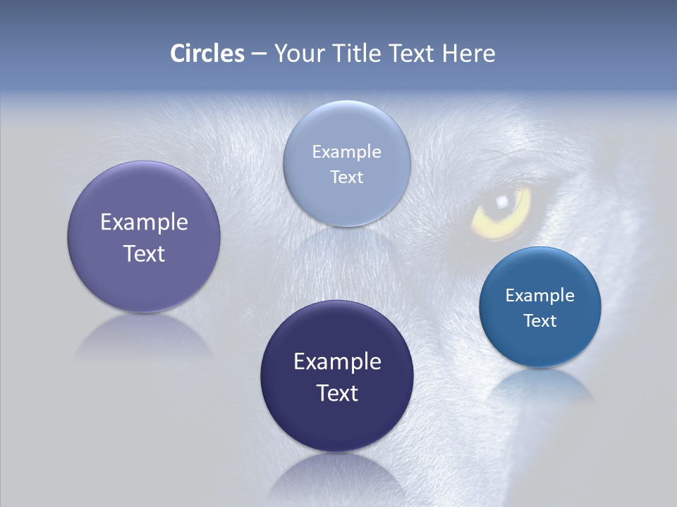 Eyes Nature Snout PowerPoint Template