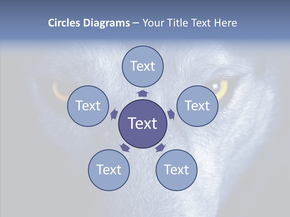 Eyes Nature Snout PowerPoint Template