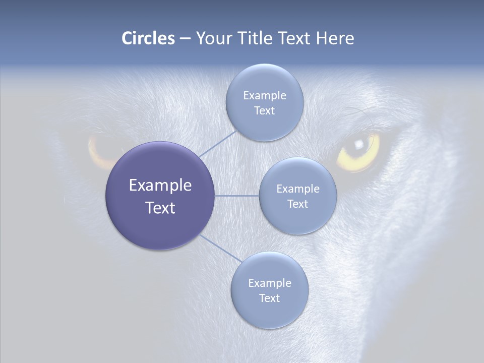 Eyes Nature Snout PowerPoint Template