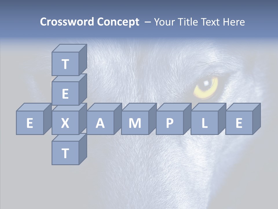 Eyes Nature Snout PowerPoint Template