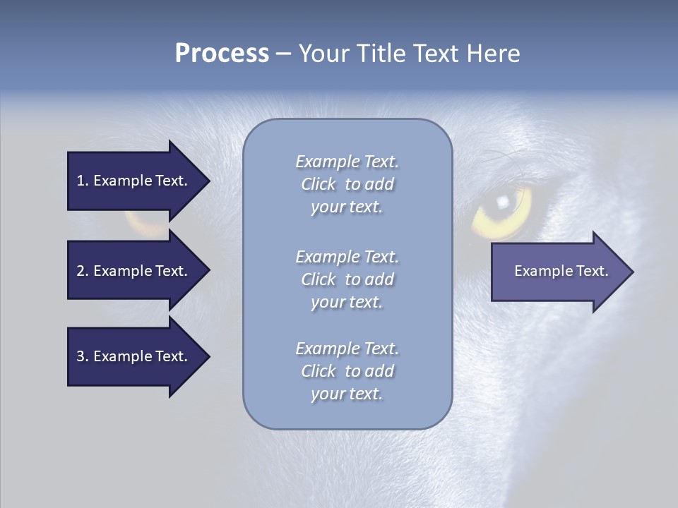 Eyes Nature Snout PowerPoint Template