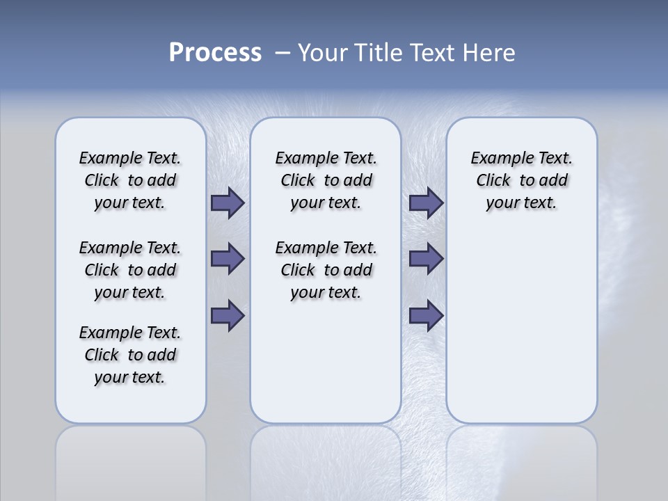 Eyes Nature Snout PowerPoint Template
