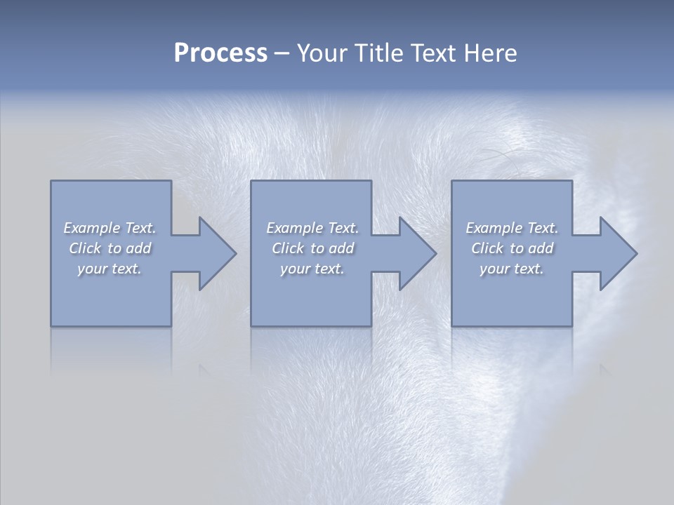 Eyes Nature Snout PowerPoint Template