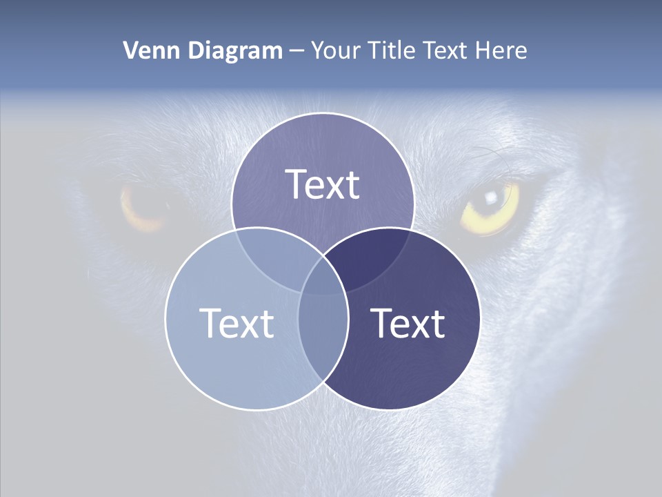 Eyes Nature Snout PowerPoint Template