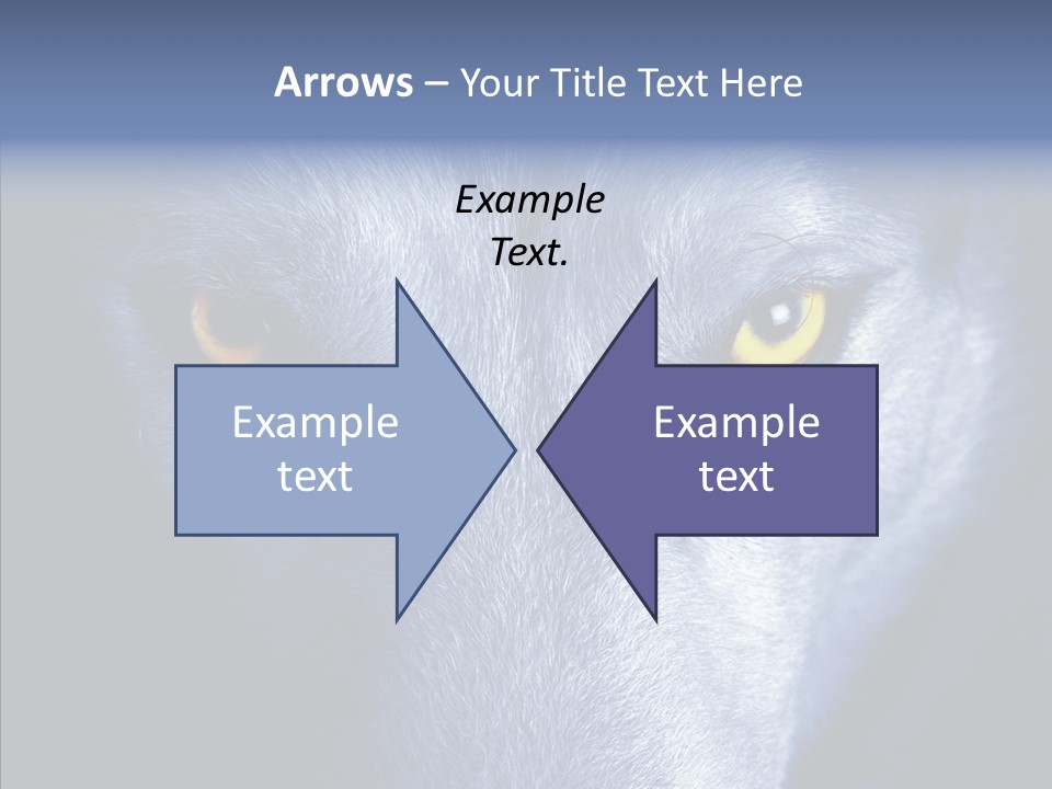 Eyes Nature Snout PowerPoint Template