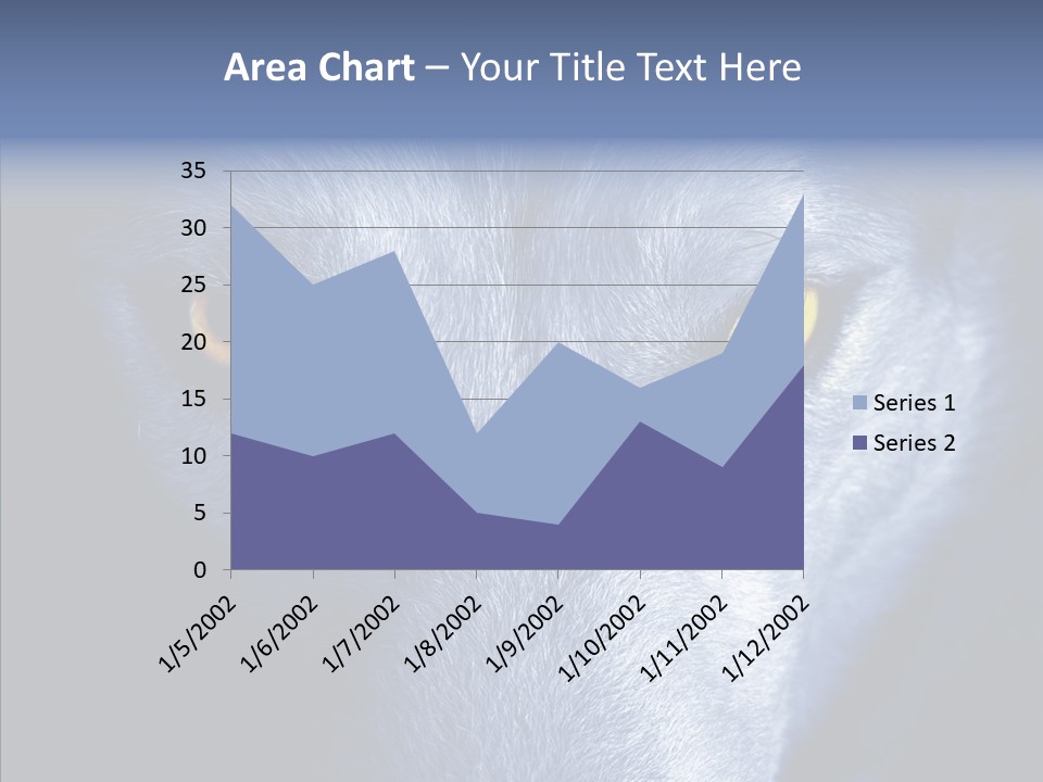 Eyes Nature Snout PowerPoint Template