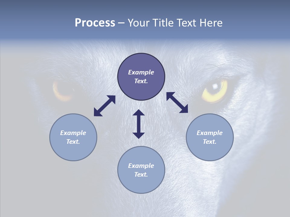 Eyes Nature Snout PowerPoint Template