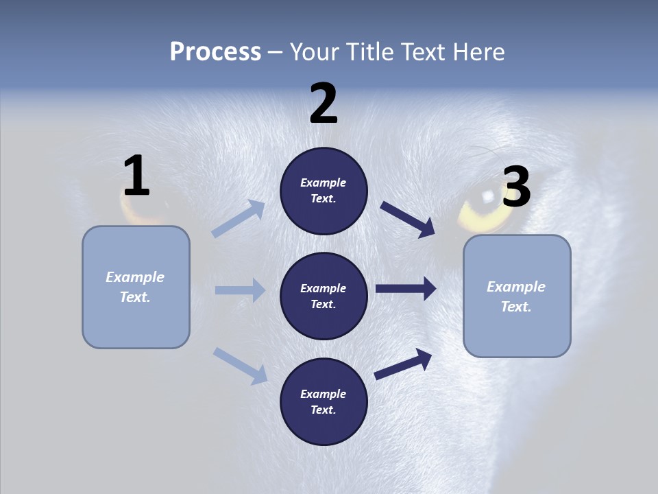 Eyes Nature Snout PowerPoint Template
