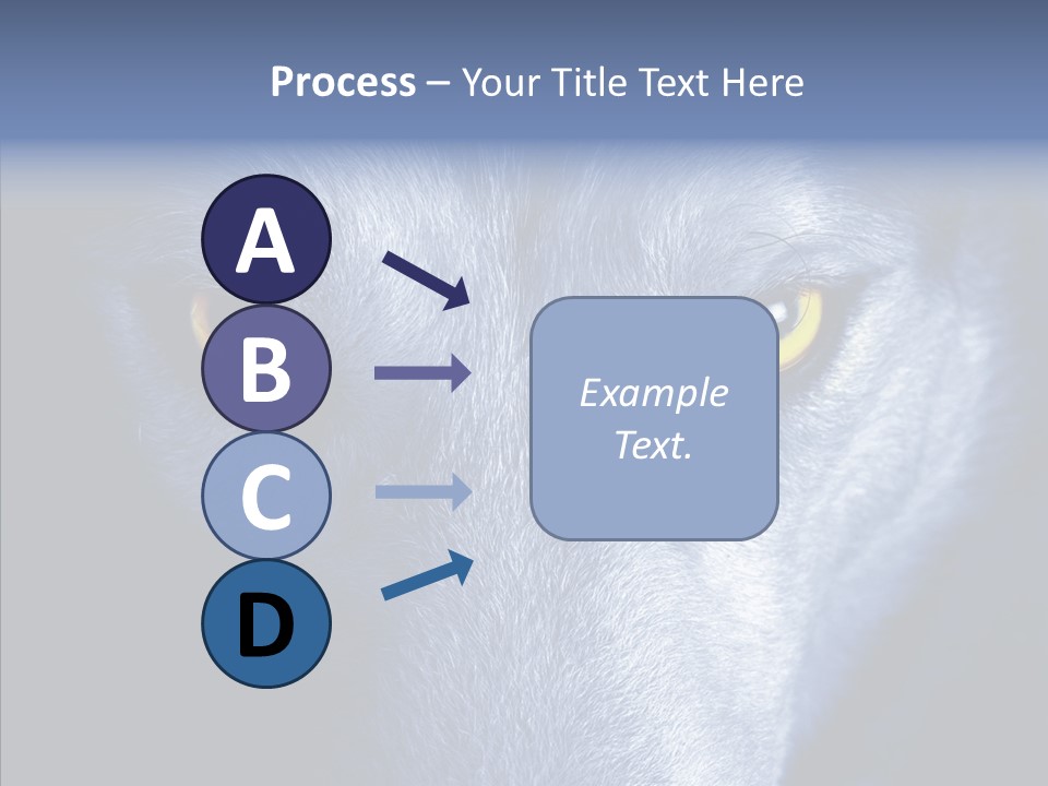 Eyes Nature Snout PowerPoint Template