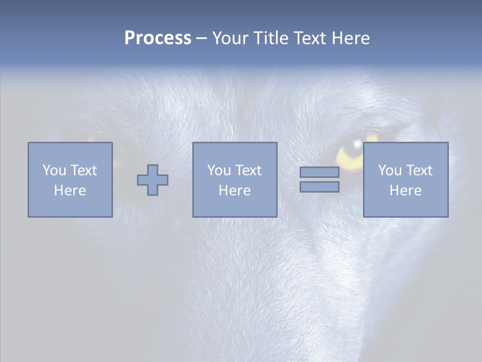 Eyes Nature Snout PowerPoint Template