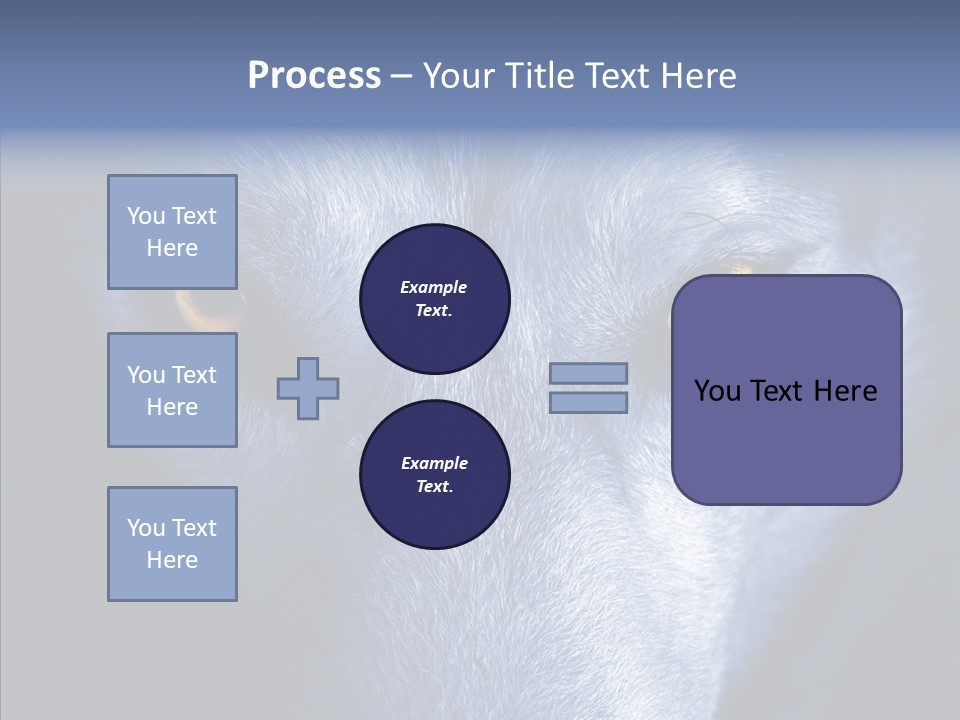 Eyes Nature Snout PowerPoint Template