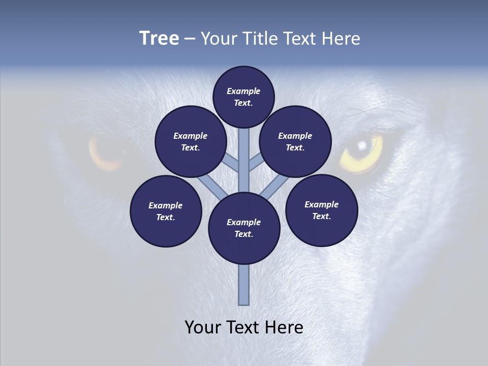 Eyes Nature Snout PowerPoint Template