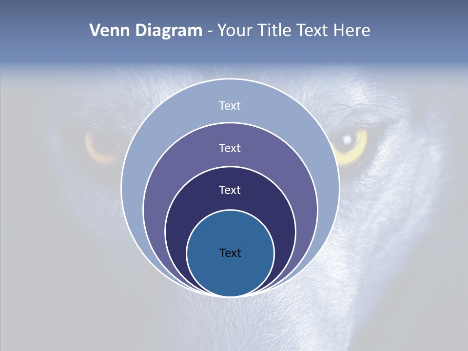 Eyes Nature Snout PowerPoint Template