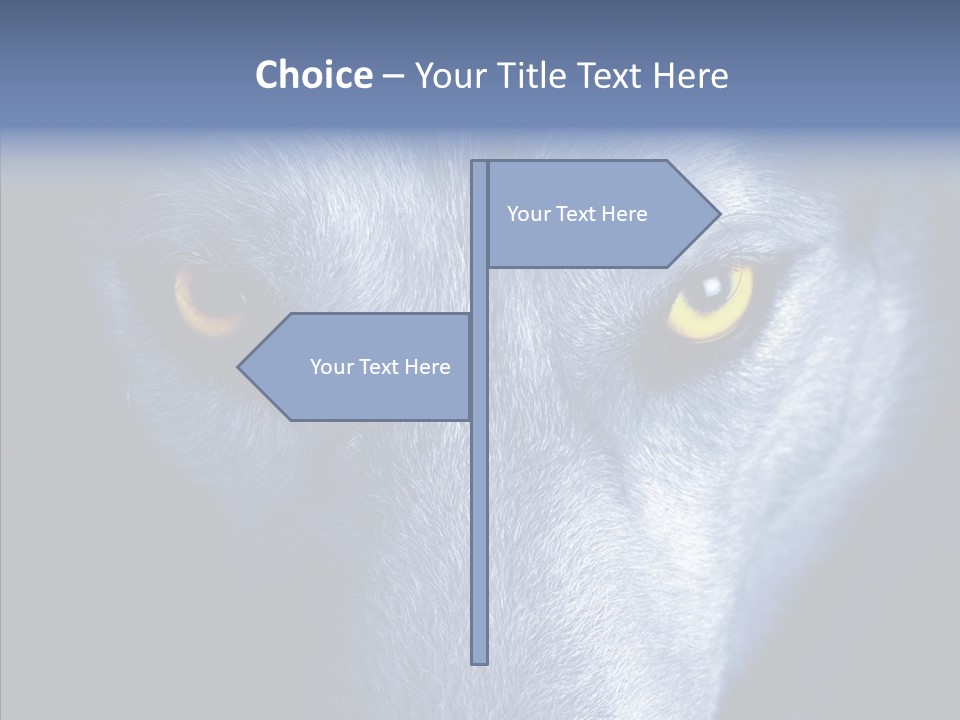 Eyes Nature Snout PowerPoint Template
