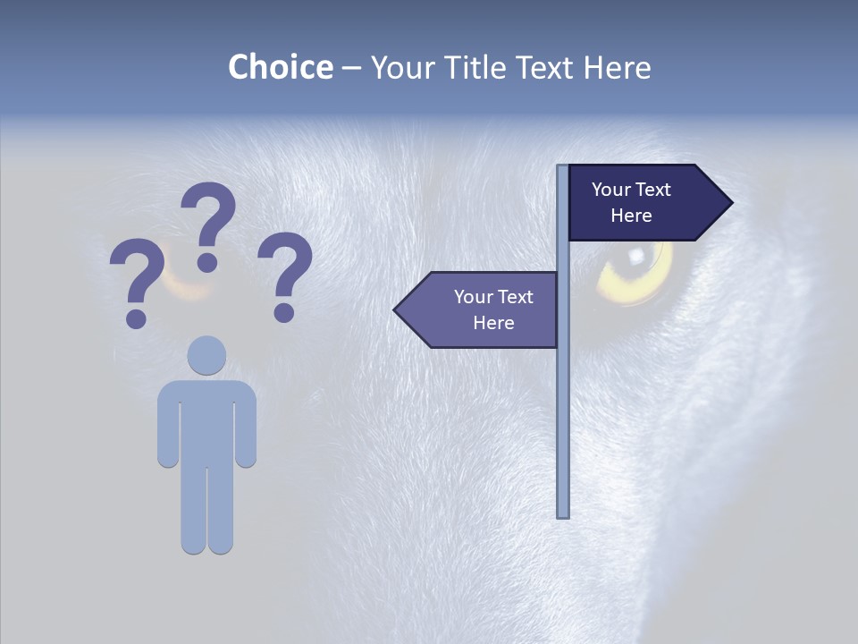 Eyes Nature Snout PowerPoint Template