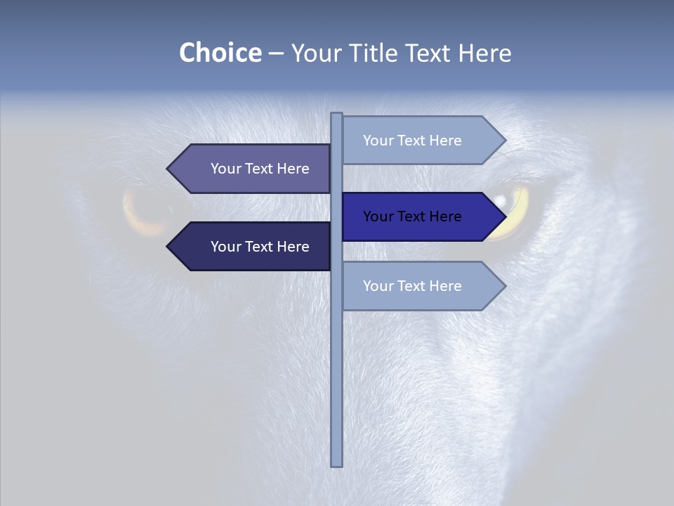 Eyes Nature Snout PowerPoint Template