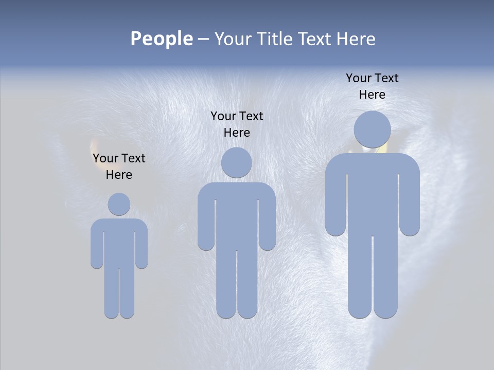 Eyes Nature Snout PowerPoint Template