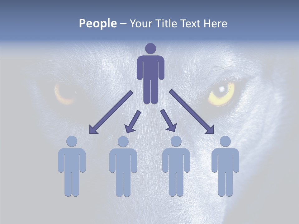 Eyes Nature Snout PowerPoint Template