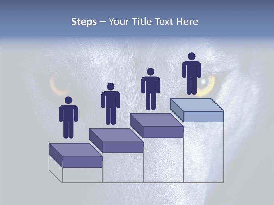 Eyes Nature Snout PowerPoint Template