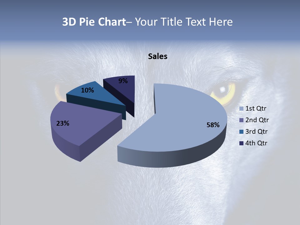 Eyes Nature Snout PowerPoint Template