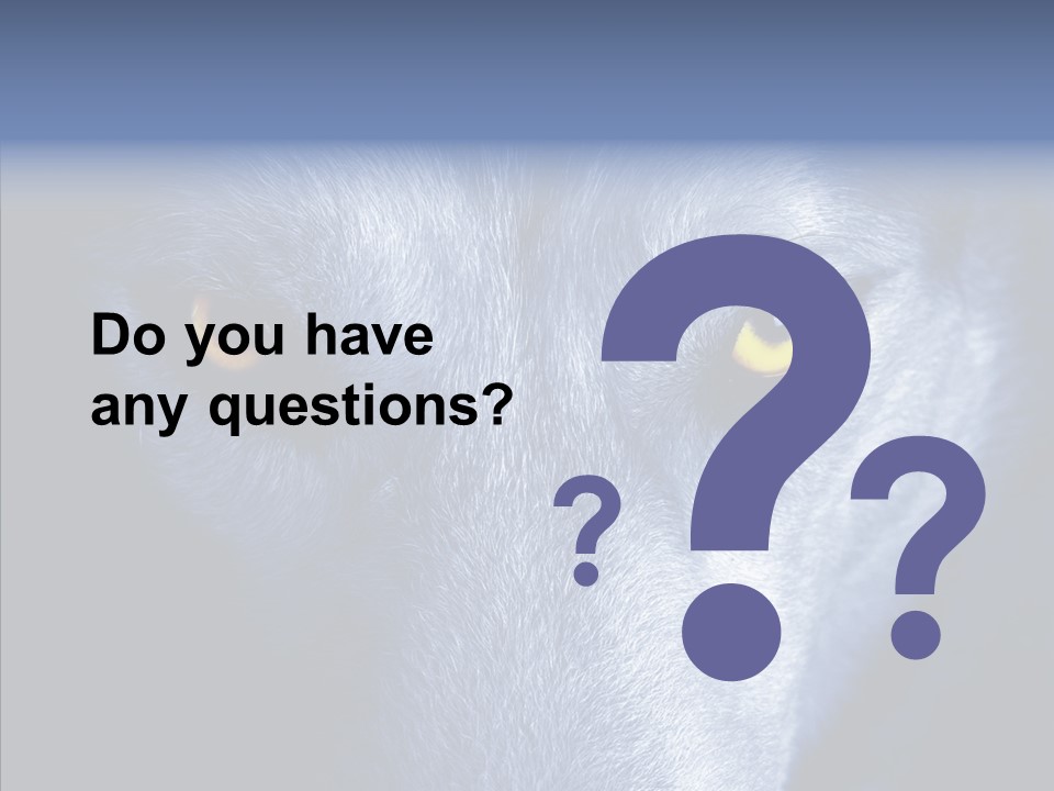 Eyes Nature Snout PowerPoint Template