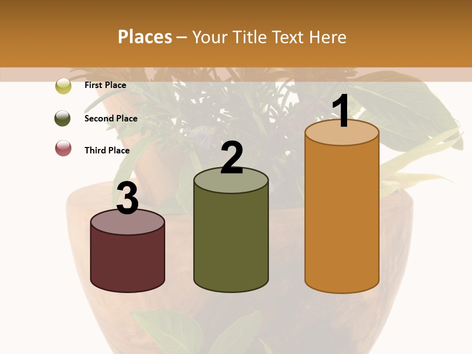 Health Tool Pestle PowerPoint Template
