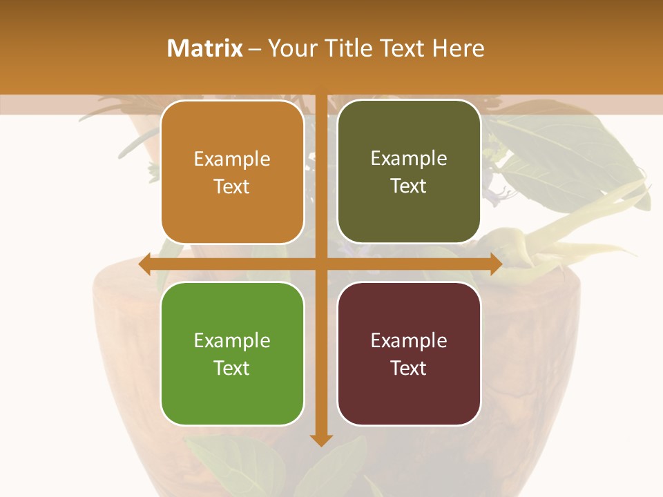 Health Tool Pestle PowerPoint Template