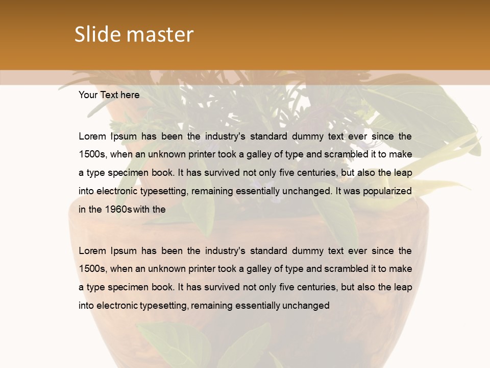 Health Tool Pestle PowerPoint Template