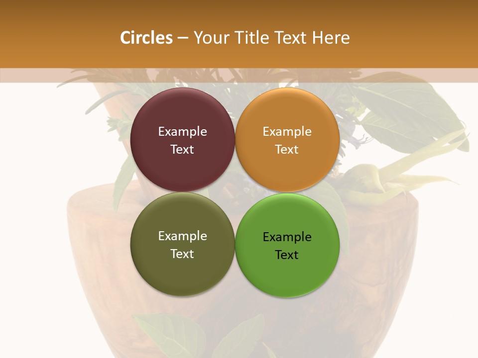 Health Tool Pestle PowerPoint Template