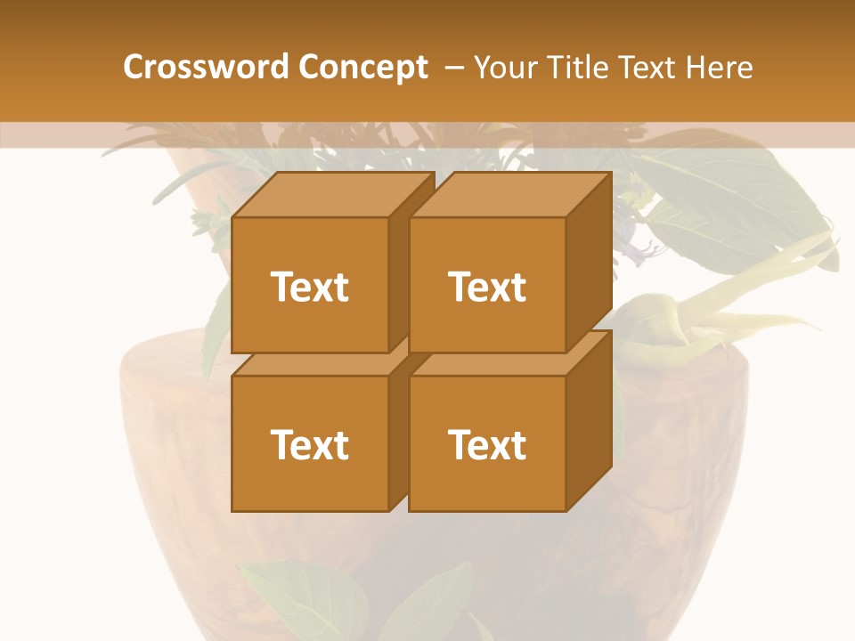 Health Tool Pestle PowerPoint Template