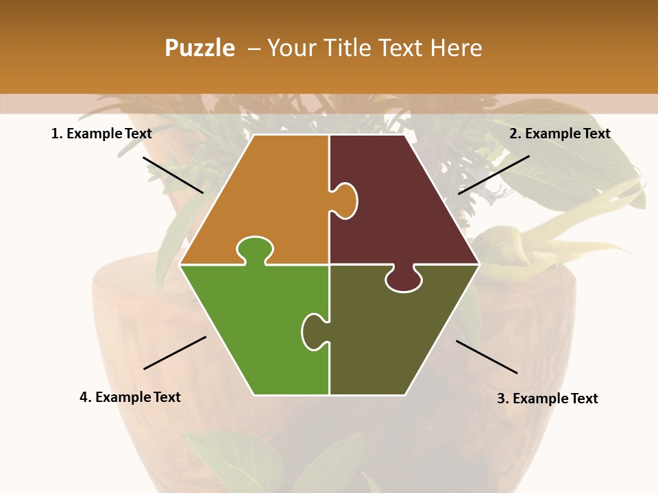 Health Tool Pestle PowerPoint Template