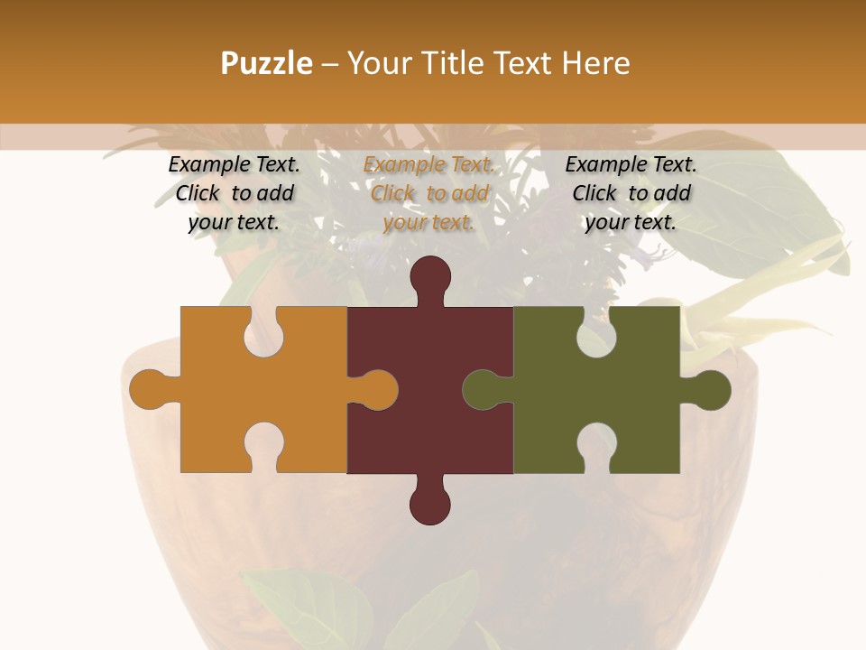 Health Tool Pestle PowerPoint Template