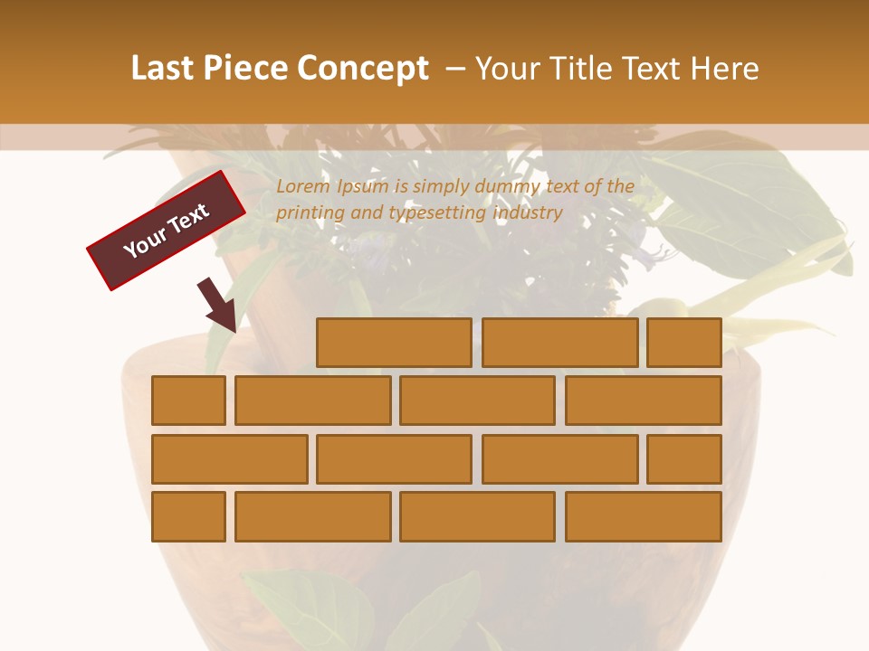 Health Tool Pestle PowerPoint Template