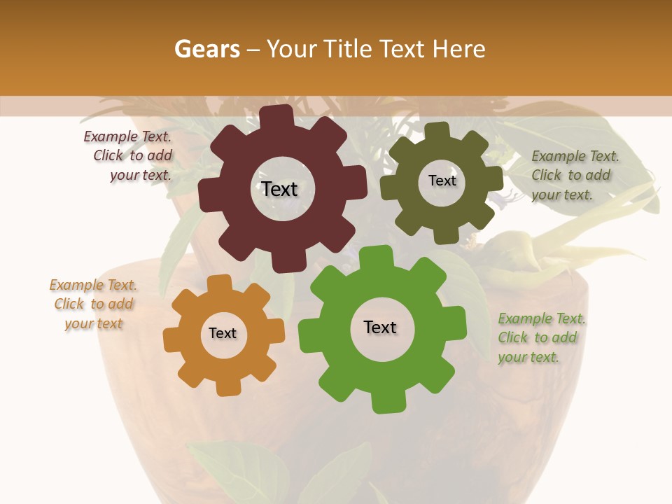 Health Tool Pestle PowerPoint Template