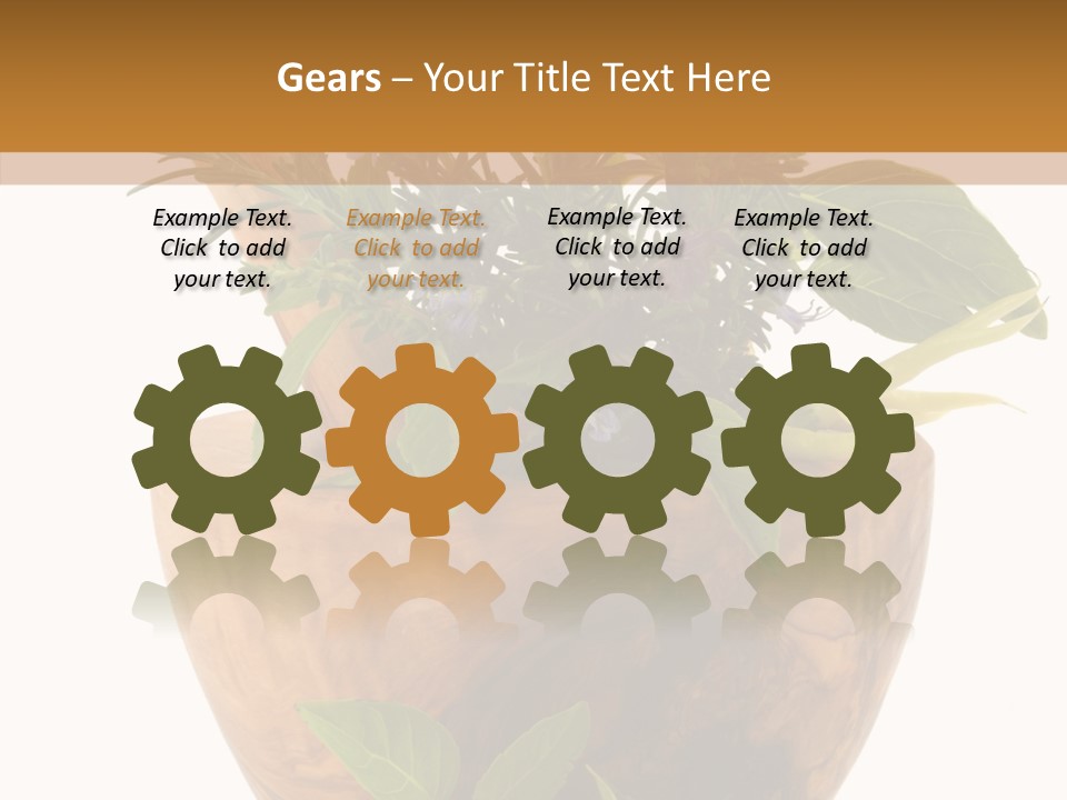 Health Tool Pestle PowerPoint Template