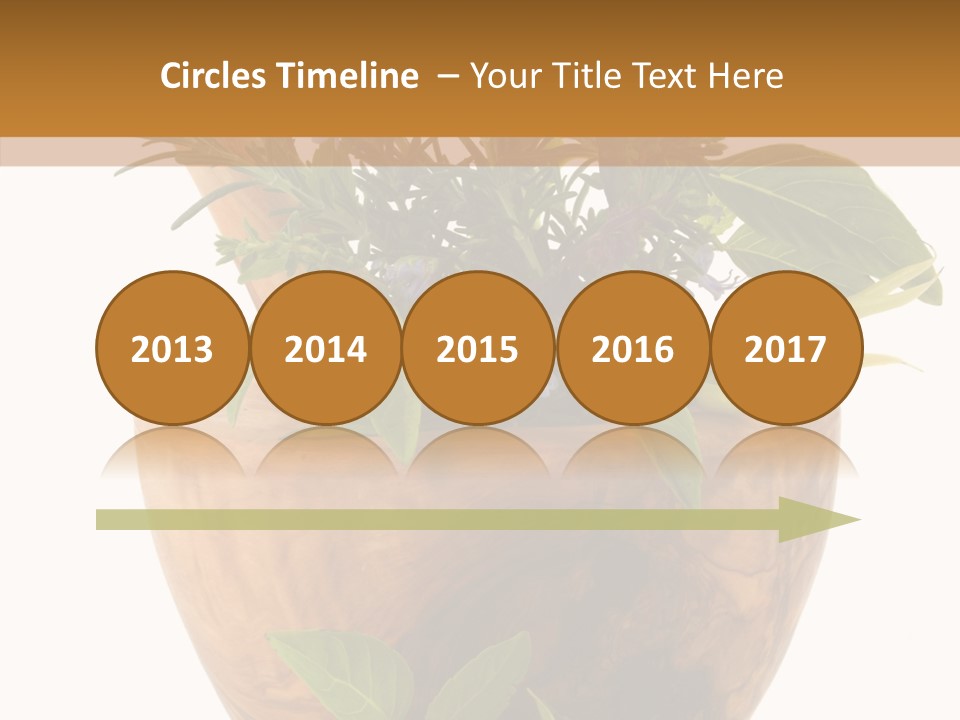 Health Tool Pestle PowerPoint Template