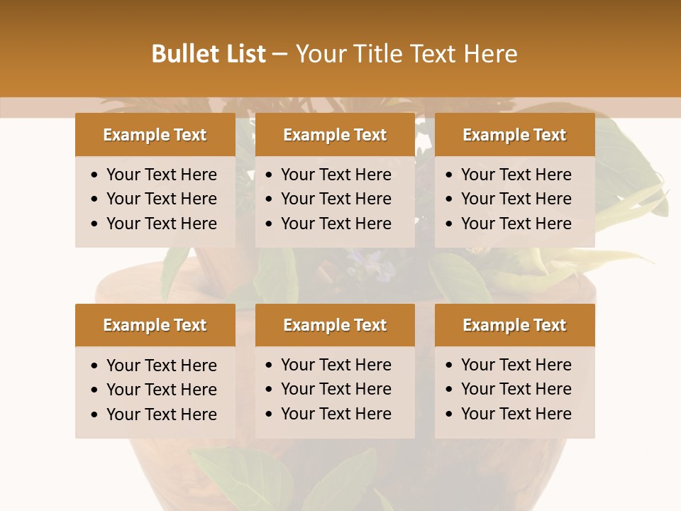 Health Tool Pestle PowerPoint Template