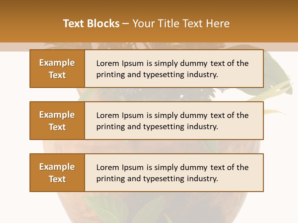 Health Tool Pestle PowerPoint Template